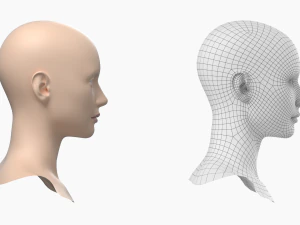 Natural Female Head 01 Base Mesh 3D Model