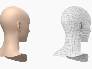 Natural Female Head 01 Base Mesh 3D Model