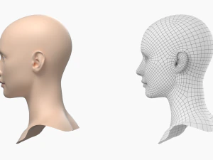 Natural Female Head 01 Base Mesh 3D Model