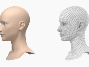 Natural Female Head 01 Base Mesh Modelo 3D