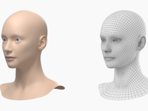 Natural Female Head 01 Base Mesh Modelo 3D