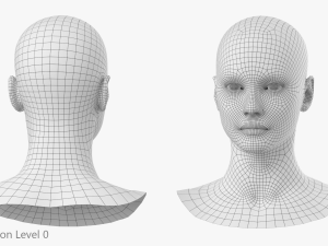 Natural Female Head 01 Base Mesh Modelo 3D