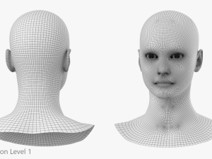 Natural Female Head 01 Base Mesh Modelo 3D
