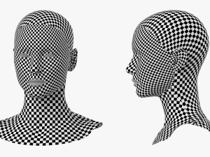 Natural Female Head 01 Base Mesh 3D Model
