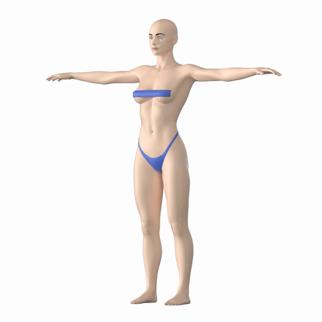 Nat&uuml;rliches weibliches 01 T-Pose-Basisnetz 3D Modell .c4d .max .obj .3ds .fbx .stl .blend 