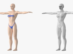 Natural Female 01 T-Pose Base Mesh Modello 3D