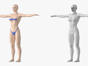 Nat&uuml;rliches weibliches 01 T-Pose-Basisnetz 3D Modell