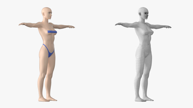 Natural Female 01 T-Pose Base Mesh 3D Model in Woman 3DExport