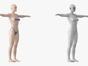Natural Female 01 T-Pose Base Mesh Modello 3D
