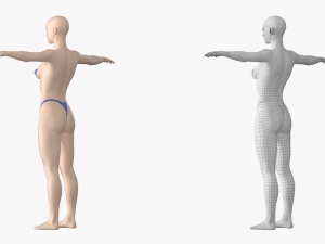 Natural Female 01 T-Pose Base Mesh Modello 3D