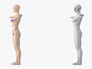 Natural Female 01 T-Pose Base Mesh Modello 3D