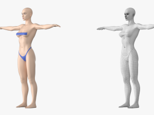 Natural Female 01 T-Pose Base Mesh Modello 3D