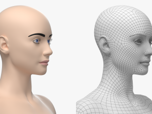 Natural Female 01 T-Pose Base Mesh Modello 3D