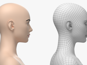 Natural Female 01 T-Pose Base Mesh Modello 3D
