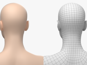 Natural Female 01 T-Pose Base Mesh Modello 3D