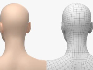 Nat&uuml;rliches weibliches 01 T-Pose-Basisnetz 3D Modell