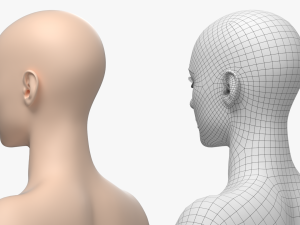 Natural Female 01 T-Pose Base Mesh Modello 3D