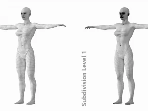 Nat&uuml;rliches weibliches 01 T-Pose-Basisnetz 3D Modell