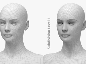 Nat&uuml;rliches weibliches 01 T-Pose-Basisnetz 3D Modell