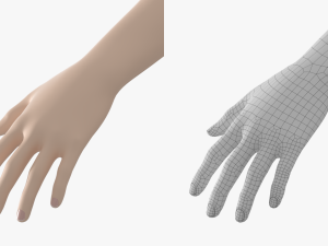 Natural Female 01 T-Pose Base Mesh Modello 3D