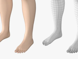 Nat&uuml;rliches weibliches 01 T-Pose-Basisnetz 3D Modell