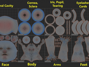 Natural Female 01 T-Pose Base Mesh Modello 3D