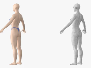 Maglia base Natural Female 01 A-Pose Modello 3D