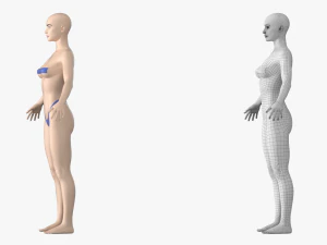 Maglia base Natural Female 01 A-Pose Modello 3D