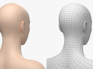 Maglia base Natural Female 01 A-Pose Modello 3D