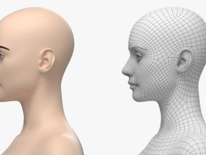 Maglia base Natural Female 01 A-Pose Modello 3D