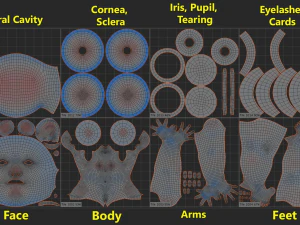 Maglia base Natural Female 01 A-Pose Modello 3D