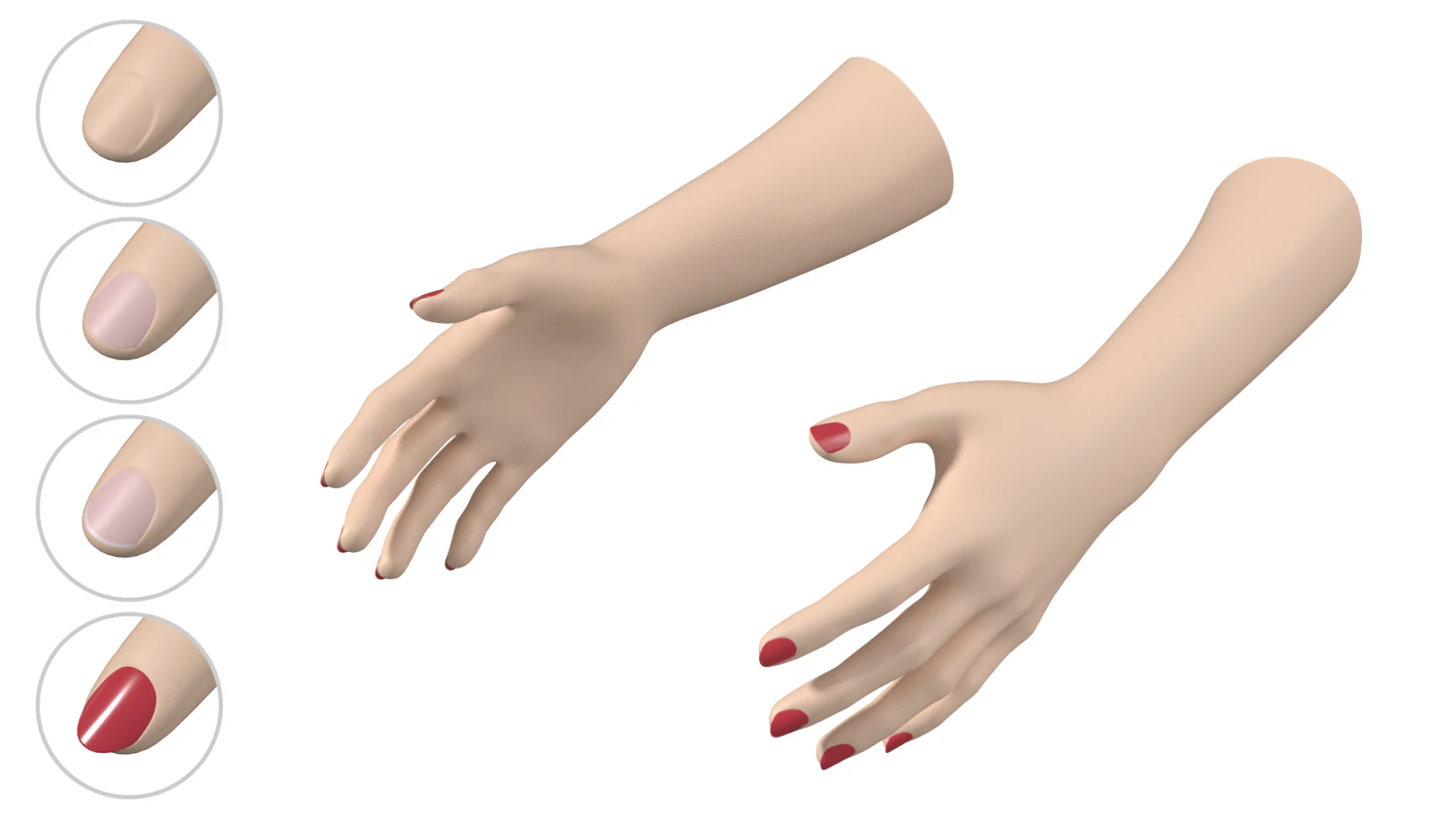 Female Hands Gesture 01 Base Mesh 3D Model .c4d .max .obj .3ds .fbx .stl .blend 