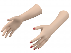 Female Hands Gesture 01 Base Mesh 3D मॉडल