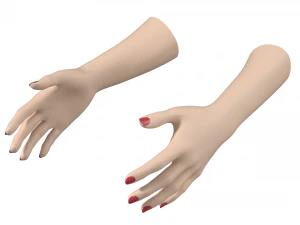 Female Hands Gesture 01 Base Mesh 3D Model