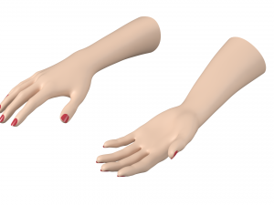 Female Hands Gesture 01 Base Mesh 3D मॉडल