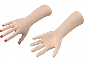 Female Hands Gesture 01 Base Mesh 3D मॉडल
