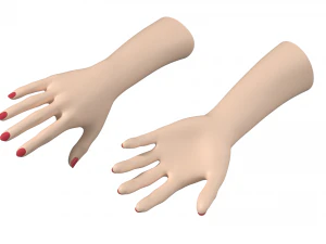 Female Hands Gesture 01 Base Mesh 3D Model