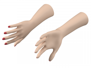 Female Hands Gesture 01 Base Mesh 3D मॉडल