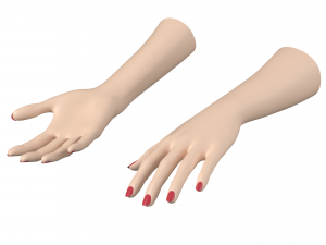 Female Hands Gesture 01 Base Mesh 3D मॉडल