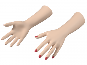 Female Hands Gesture 01 Base Mesh 3D मॉडल