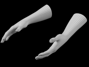 Female Hands Gesture 01 Base Mesh 3D मॉडल