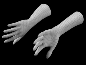 Female Hands Gesture 01 Base Mesh 3D Model