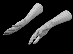 Female Hands Gesture 01 Base Mesh 3D मॉडल