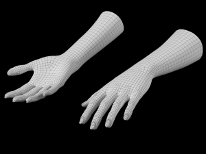 Female Hands Gesture 01 Base Mesh 3D मॉडल