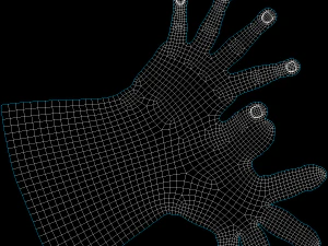 Female Hands Gesture 01 Base Mesh 3D Model