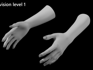 Female Hands Gesture 01 Base Mesh 3D मॉडल