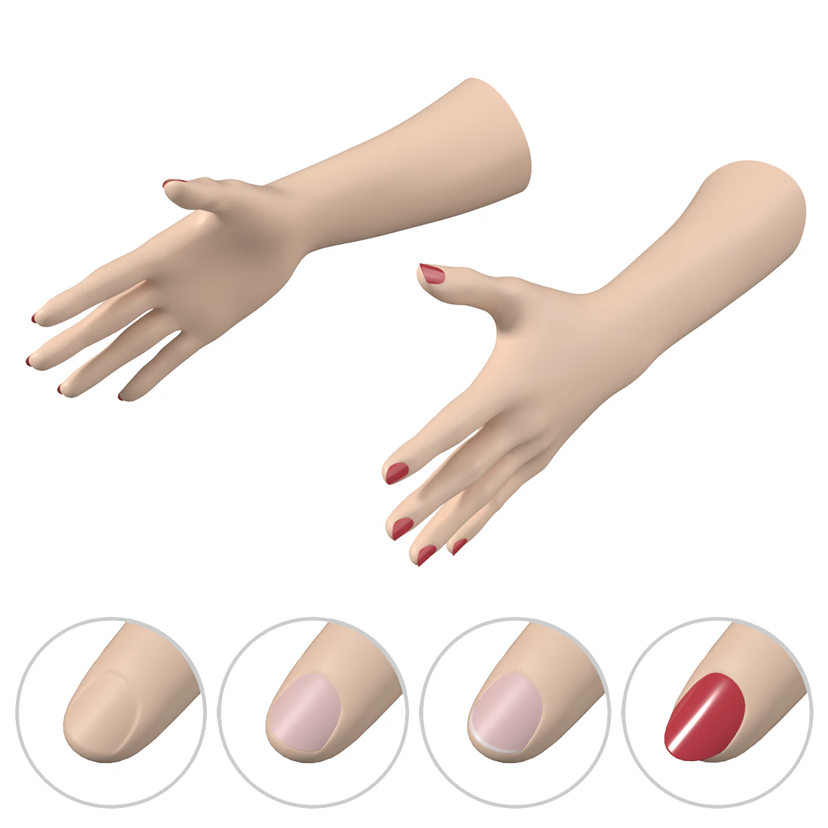 Gesto delle mani femminili 02 Maglia di base Modello 3D .c4d .max .obj .3ds .fbx .stl .blend