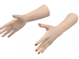 Female Hands Gesture 02 Base Mesh Model 3D