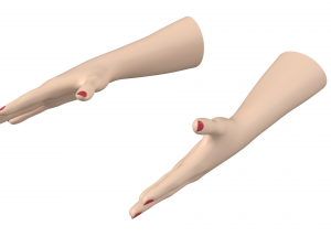 Female Hands Gesture 02 Base Mesh Model 3D