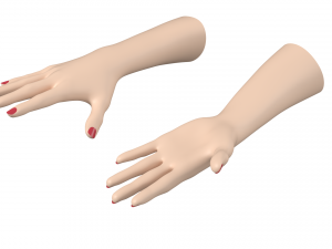Female Hands Gesture 02 Base Mesh Model 3D